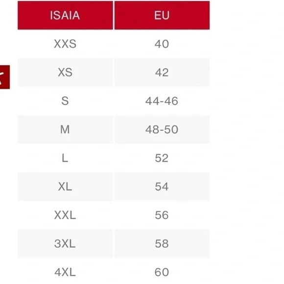 Isaia Short Sleeve Silk/Cotton Blend T-Shirt - Picture 12 of 12